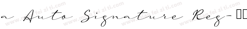 a Auto Signature Reg字体转换